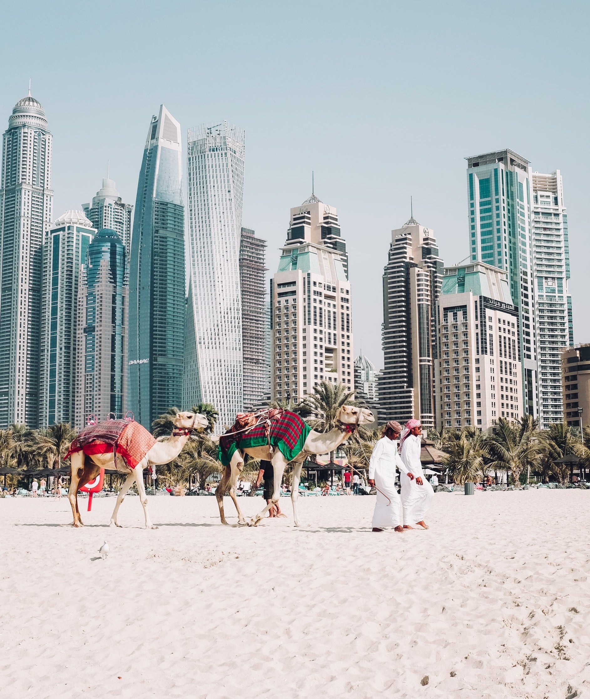Dubai on a Budget!