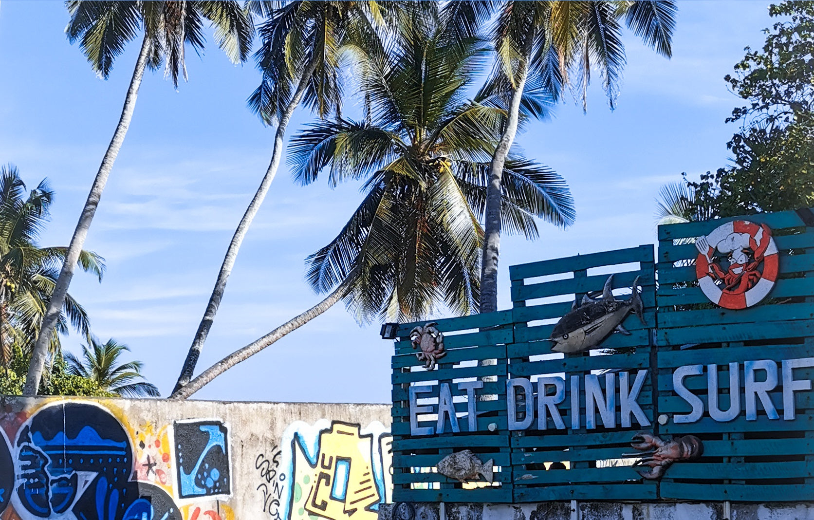 The most UNMISSABLE Yoga Retreat in Sri Lanka🧘