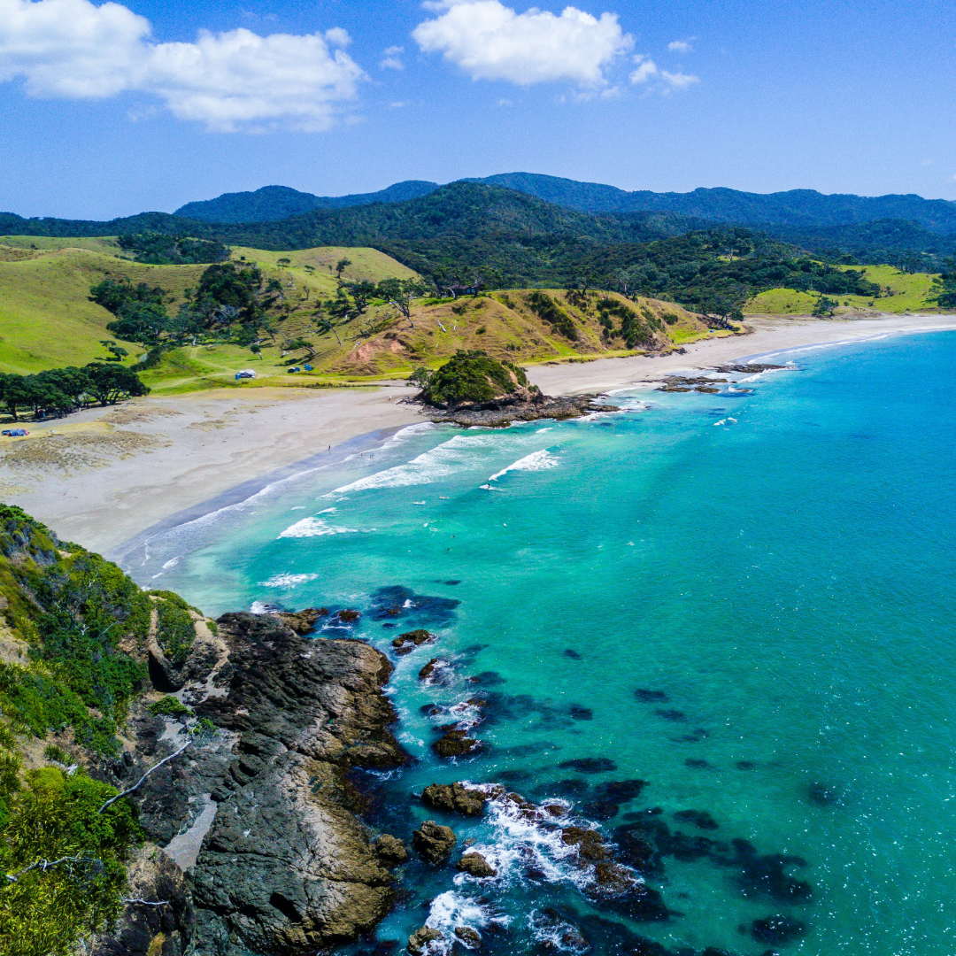 New Zealand beach